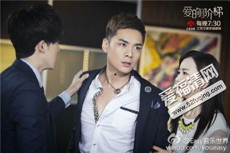 爱的阶梯全集电视剧在线观看,重温情感巅峰，共鉴人生起伏  第2张